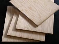 SHT 1/2" AC PLYWOOD