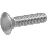 18-8 CARR SC 1/4X6 STAINLESS