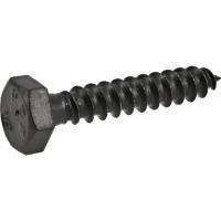 BLK EXT HEX LAG 5/16X4