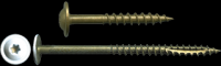 1# BT 8x2-1/2 LoPro Cab Screw